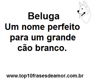 Beluga