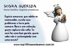 Sogra boa existe? Sogra boa existe?