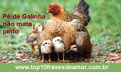 Pé de galinha não mata pinto