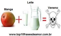 posicionar nos buscadores