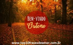 posicionar nos buscadores