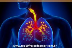 posicionar nos buscadores