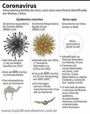 Família Coronavírus