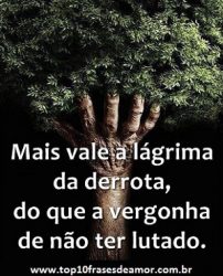 O valor da lágrima O valor da lágrima