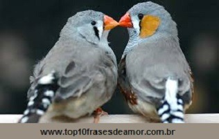 Tipos de Amor-Amor romântico