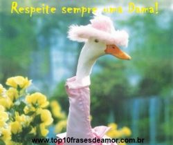 posicionar nos buscadores