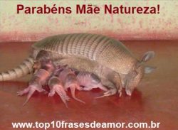 Parabéns Mãe Natureza!