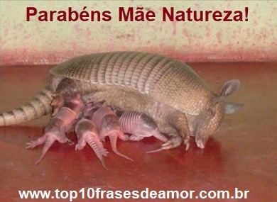 Parabéns Mãe Natureza!
