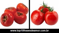 Cada um tem o que merece