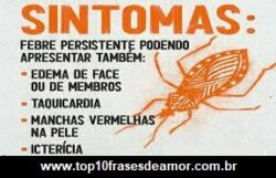 Doença de Chagas Doença de Chagas
