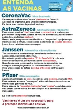 Entenda as Vacinas