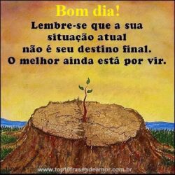 O melhor ainda está por vir!