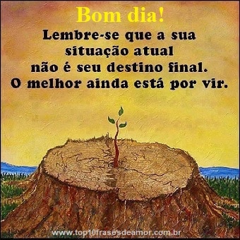 O melhor ainda esta por vir