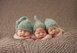 Sangue Literário-Sumário Sangue Literário - sumário