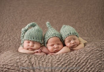 Sangue Literário-Sumário