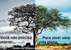 Você não precisa morrer