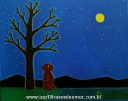 Feliz Aniversário Lua!