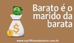 Marido da barata