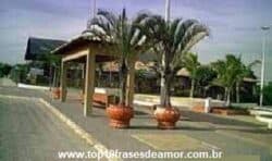 O Mistério da Casa Verde 1