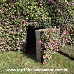 O Mistério da Casa Verde 3