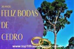 Feliz Bodas de Cedro Bodas de Cedro
