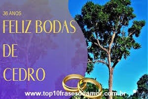 Feliz Bodas de Cedro