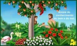 Deus dá o paraíso de presente