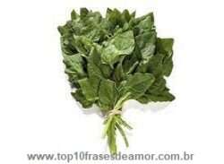 Alimentos da alegria