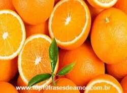 Alimentos da alegria