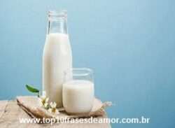 Alimentos da alegria