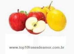 Alimentos da alegria