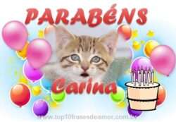 Parabéns Carina Parabéns Carina
