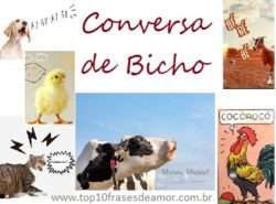 Conversa de Bicho