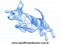 Minha raça preferida