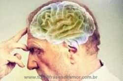 Inteligência saturada Inteligência saturada