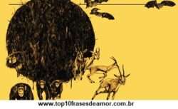 Corrupção entre os animais Corrupção entre os animais