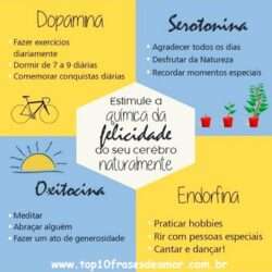 A química da felicidade A química da felicidade