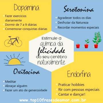 A química da felicidade