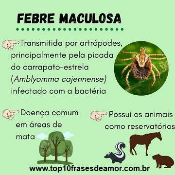 Febre maculosa