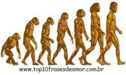 O homem veio do macaco? O homem veio do macaco?