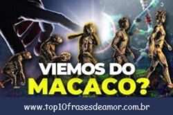 O homem veio do macaco? O homem veio do macaco?
