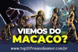 O homem veio do macaco?