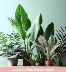 Faça você mesmo Faça você mesmo