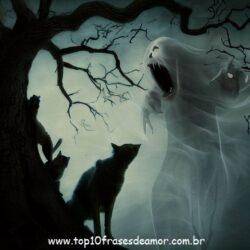 Um fantasma na minha casa Um fantasma na minha casa