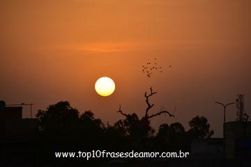 O astro rei se revela