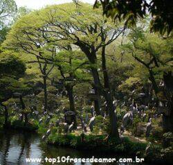 Reservas da região dos lagos Reservas da região dos lagos