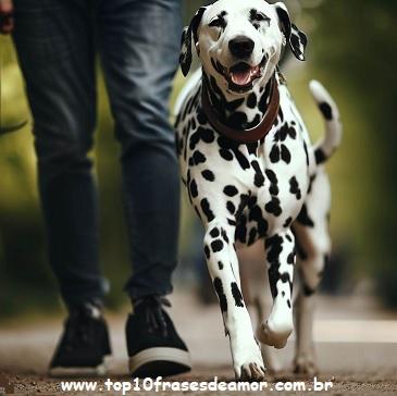 Dois solitários e uma amizade