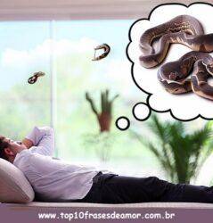 Sonhar com cobras Sonhar com cobras