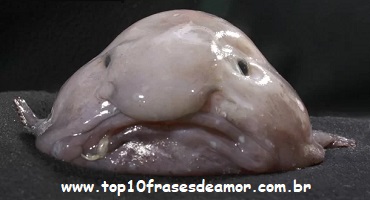 Peixes raros pelo mundo