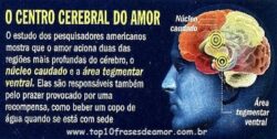 O amor muda o jeito de pensar? O amor muda o jeito de pensar?